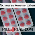 Black Ant Pills 19